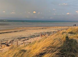 Attraction