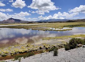 Parque Nacional Lauca