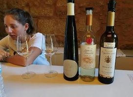 Attraction