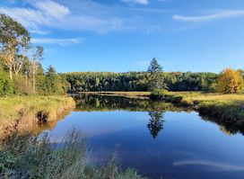 Attraction