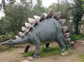 Attraction