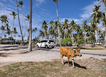 malaysia/terengganu/attraction/pantai-jambu-bongkok-nyorpata