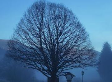 austria/salzburg/attraction/europakloster-gut-aich