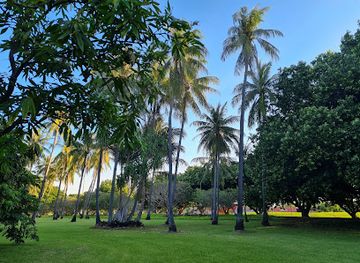 australia/darwin/attraction/botanic-garden-fountain