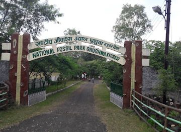 india/madhya-pradesh/attraction/ghughwa-fossil-park