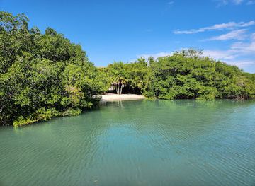 belize/toledo-district/attraction/harvest-caye