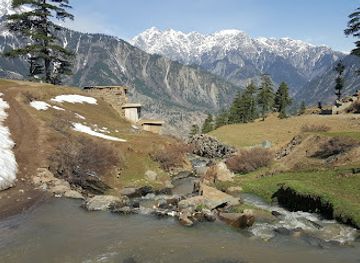 pakistan/swat-valley/attraction/usho-forest-plain-forest