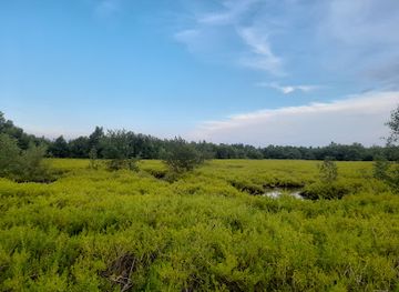 guyana/skeldon/attraction/rosehall-beach