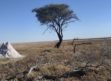 namibia/oshikoto/attraction/koinachas