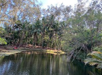 kenya/mombasa/attraction/bamburi-forest-trails