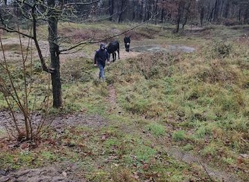 belgium/de-haan/attraction/de-duinezel-ezelwandelingen
