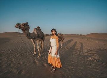 india/jaisalmer/attraction/stunning-jaisalmer-tours