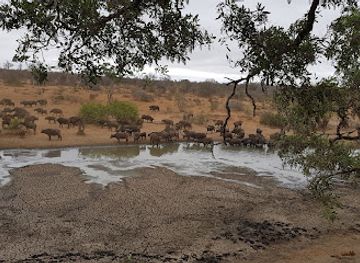 south-africa/kruger-national-park/attraction/umlani-treehouse