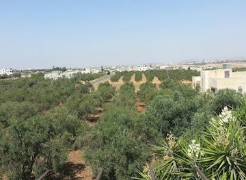 jordan/irbid/attraction/soum-puplic-park