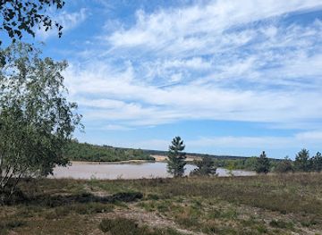 belgium/hoge-kempen-national-park/attraction/mechelse-heide