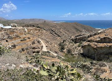 greece/pyrgos/attraction/there-once-was-a-pretty-cactus-car