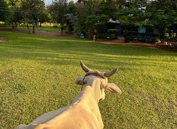 paraguay/ybycui-national-park/attraction/cholina-roga