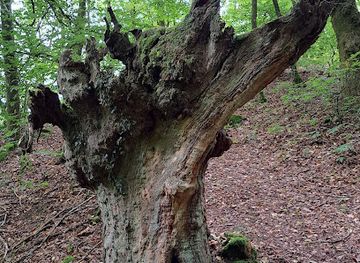 france/limousin/attraction/auriat