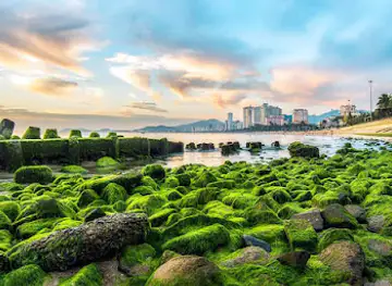 Bãi Rêu Nha Trang