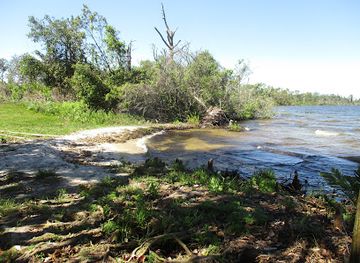 florida/fakahatchee-strand-preserve-state-park/attraction/lake-june-in-winter-scrub-preserve-state-park