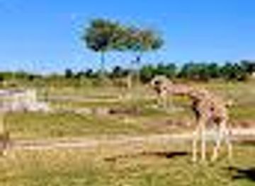 nebraska/columbus/attraction/heart-of-africa