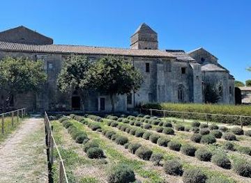 france/nimes/attraction/monastery-saint-paul-de-mausole