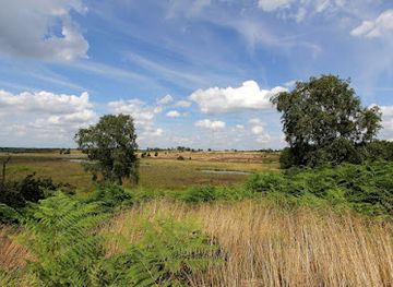 netherlands/limburg/attraction/de-hamert-nationaal-park