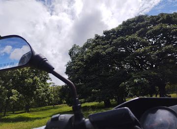 sri-lanka/anuradhapura-district/attraction/yapane-handiya