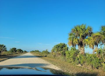 florida/fakahatchee-strand-preserve-state-park/attraction/janes-memorial-scenic-drive