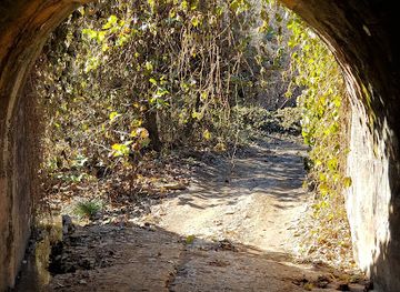 kentucky/daniel-boone-national-forest/attraction/daniel-boone-backcountry-byway