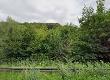 denmark/mollehoj/attraction/skoven-vestermolle