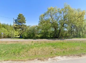 estonia/jogevamaa/attraction/tammispaa-laululava-katusealune