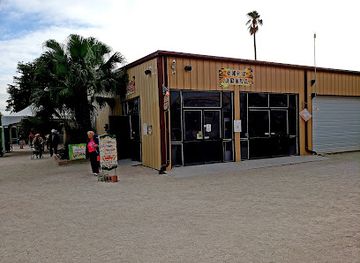 florida/southwest-florida/attraction/big-cat-habitat