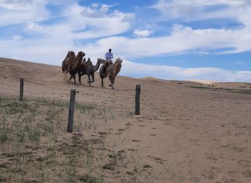 mongolia/gobi-desert/attraction/mini-gobi
