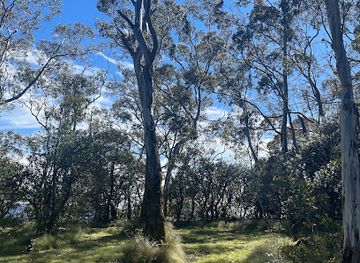 australia/new-england/attraction/berarngutta-picnic-area