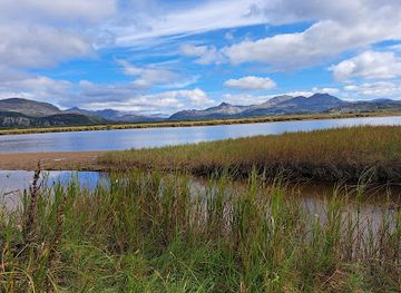 united-kingdom/gwynedd/attraction/traeth-glaslyn-north-wales-wildlife-trust-nature-reserve