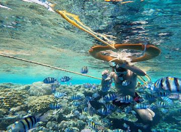 israel/red-sea-coral-reef/attraction/coral-reef
