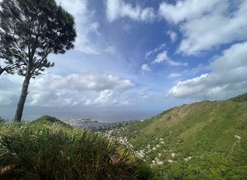 trinidad-and-tobago/san-juan-laventille/attraction/la-seiva-pines