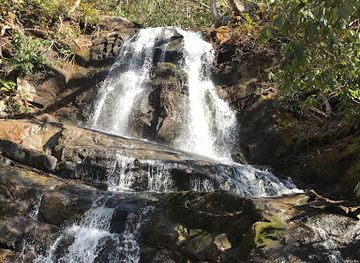 tennessee/fall-creek-falls-state-park/attraction/laurel-falls