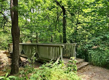 north-carolina/greensboro/attraction/the-bog-garden-at-benjamin-park