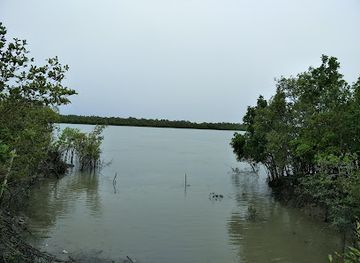 india/sundarbans/attraction/jharkhali-park