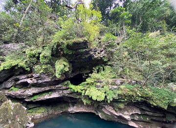 vietnam/phong-nha-ke-bang-national-park/attraction/hang-tra-ang