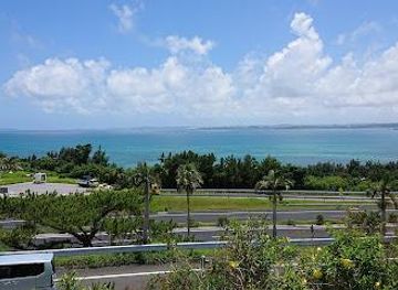 japan/okinawa/attraction/igei-service-area-lower