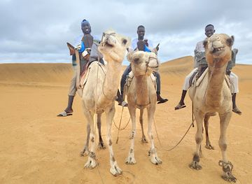 senegal/dakar/attraction/travelwithziggy