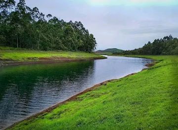 cameroon/forest-region/attraction/mambilla-plateau