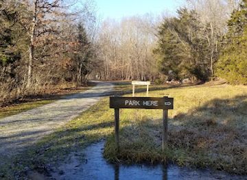 indiana/turkey-run-state-park/attraction/mossy-point
