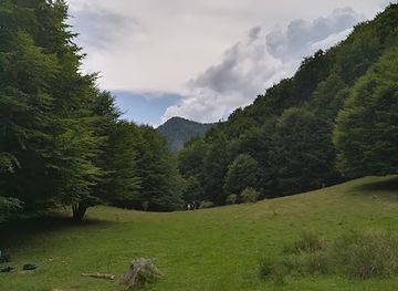 romania/transfagarasan-highway/attraction/nun-s-glade