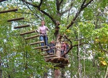 france/périgord-noir/attraction/call-tree-forest-adventure-course-dordogne