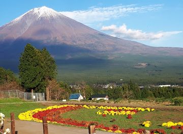 japan/mount-fuji/attraction/shiraito-natural-park