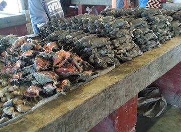 papua-new-guinea/western-province/attraction/irai-missionary-dam